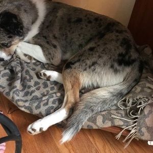 Meet your Posher, Liam